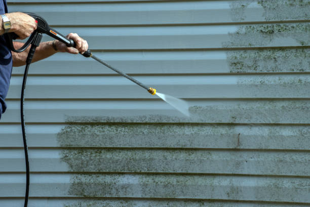 Best Residential Pressure Washing Services  in Las Vegas, NM